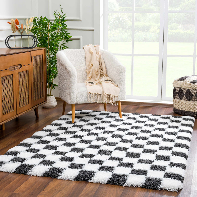 Atira Black & White Checkered Area Rug-Boutique Rugs-lobo nosara