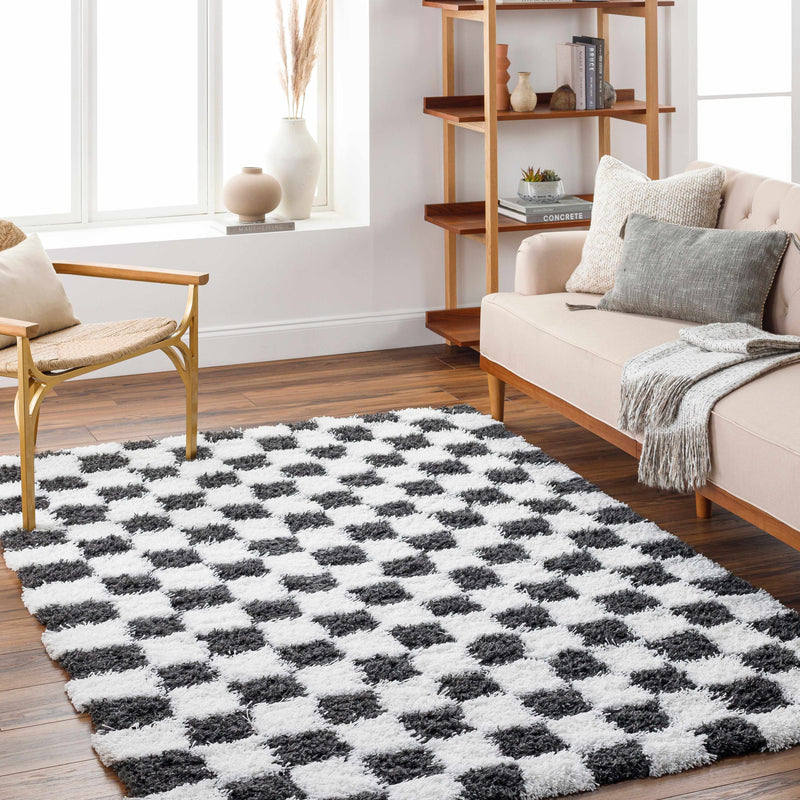 Atira Black & White Checkered Area Rug-Boutique Rugs-lobo nosara