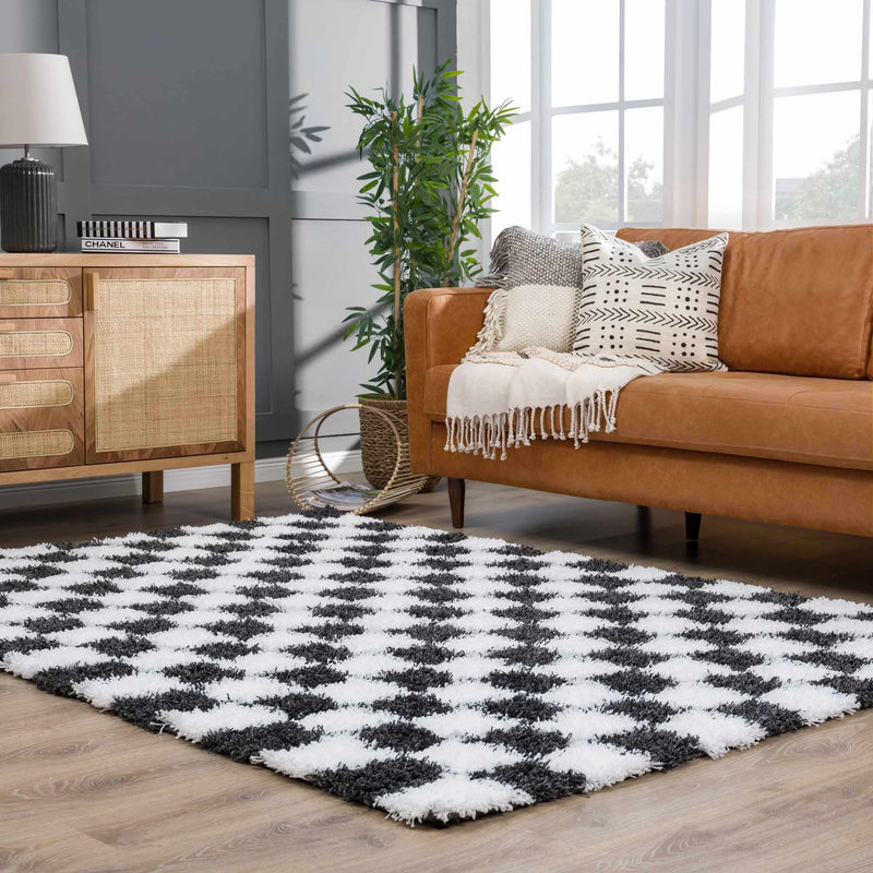 Atira Black & White Checkered Area Rug-Boutique Rugs-lobo nosara