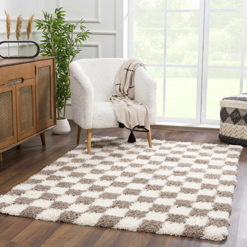 Atira Brown Checkered Area Rug-Boutique Rugs-lobo nosara