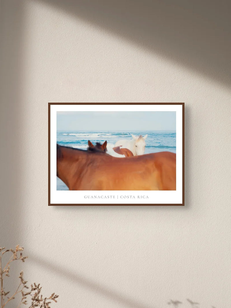 Beach Horses-Wowment-lobo nosara