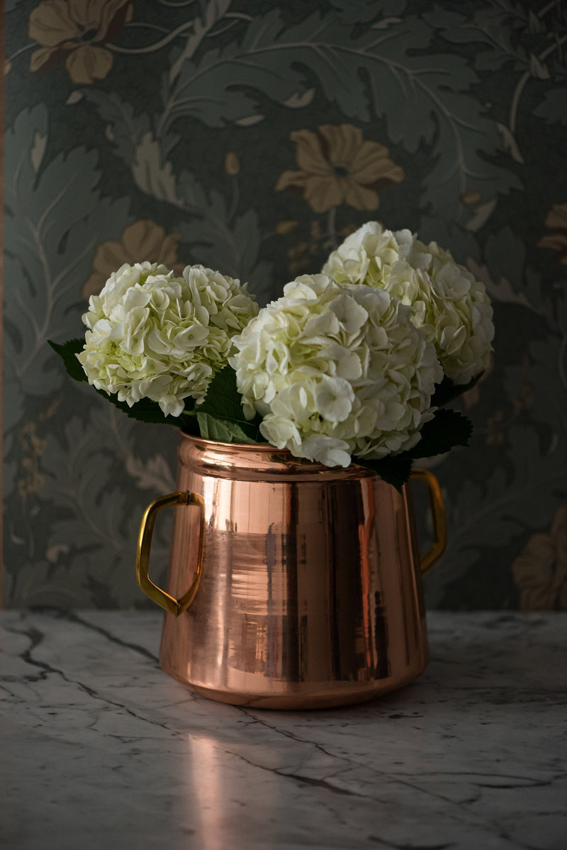 Copper Planter-Galley & Fen-lobo nosara