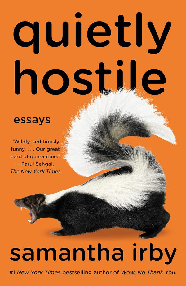 Quietly Hostile: Essays-Jenny Jackson-lobo nosara