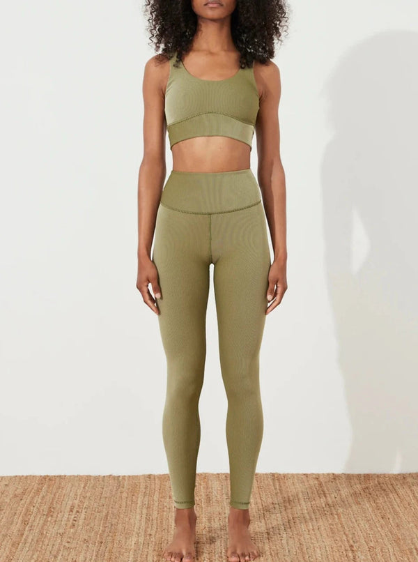 Stripe Rib Legging - Olive-Zulu & Zephyr-lobo nosara