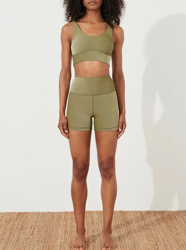 Stripe Rib Short - Olive-Zulu & Zephyr-lobo nosara