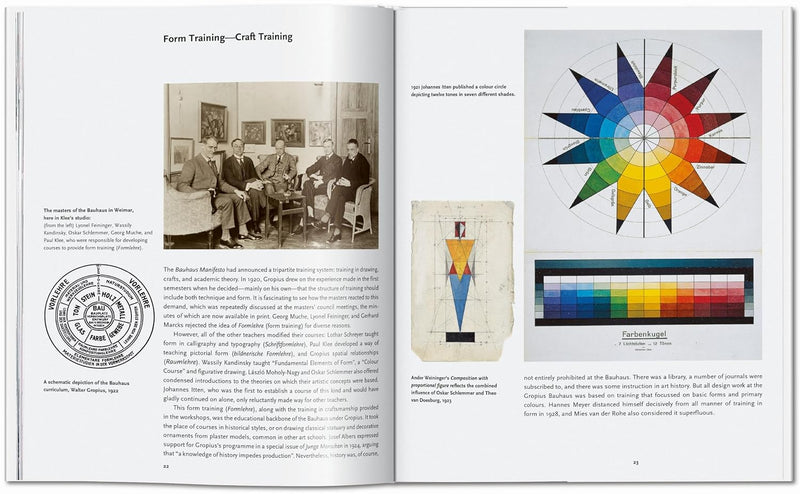 The Bauhaus-Taschen-lobo nosara