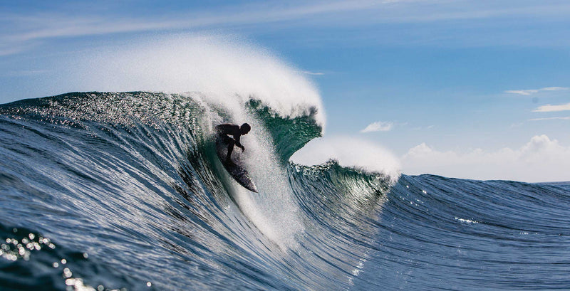 The Surfer’s Journal 34.3-The Surfer’s Journal-lobo nosara