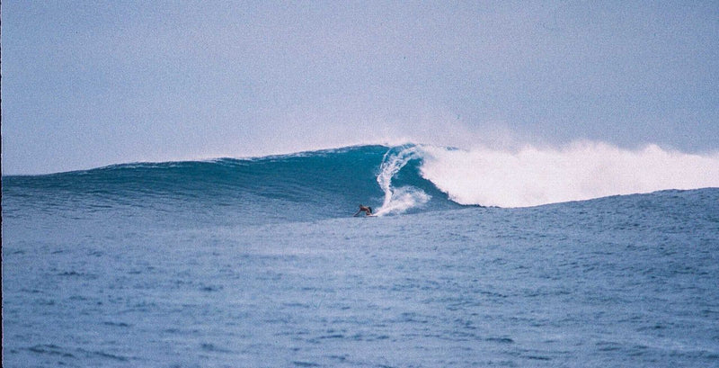 The Surfer’s Journal 34.3-The Surfer’s Journal-lobo nosara