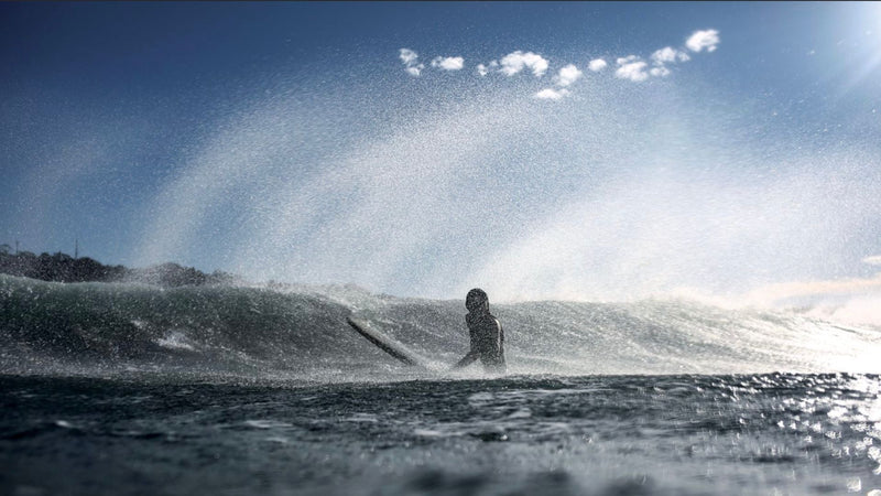 Nature of Surfwomen Book-Nature of Surfwomen-lobo nosara