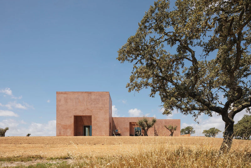 The Mediterranean Home-Gestalen-lobo nosara